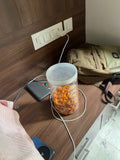 Cashew biscuits